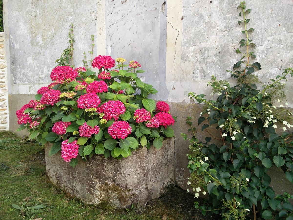 Les Marronniers * Baron (Oise)